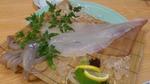 201106_Squid5.jpg